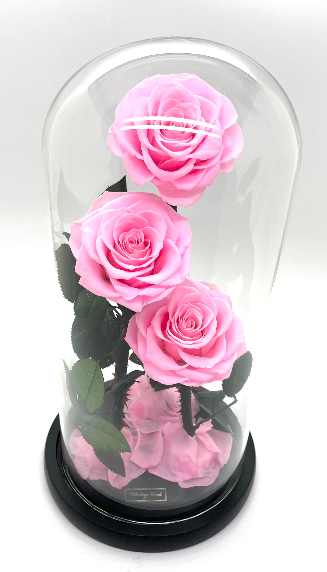 3 Rose Glass Dome