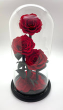 Load image into Gallery viewer, 3 Rose Glass Dome
