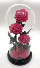 Load image into Gallery viewer, 3 Rose Glass Dome
