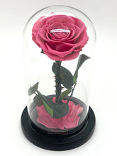 Load image into Gallery viewer, 1 Rose Glass Dome
