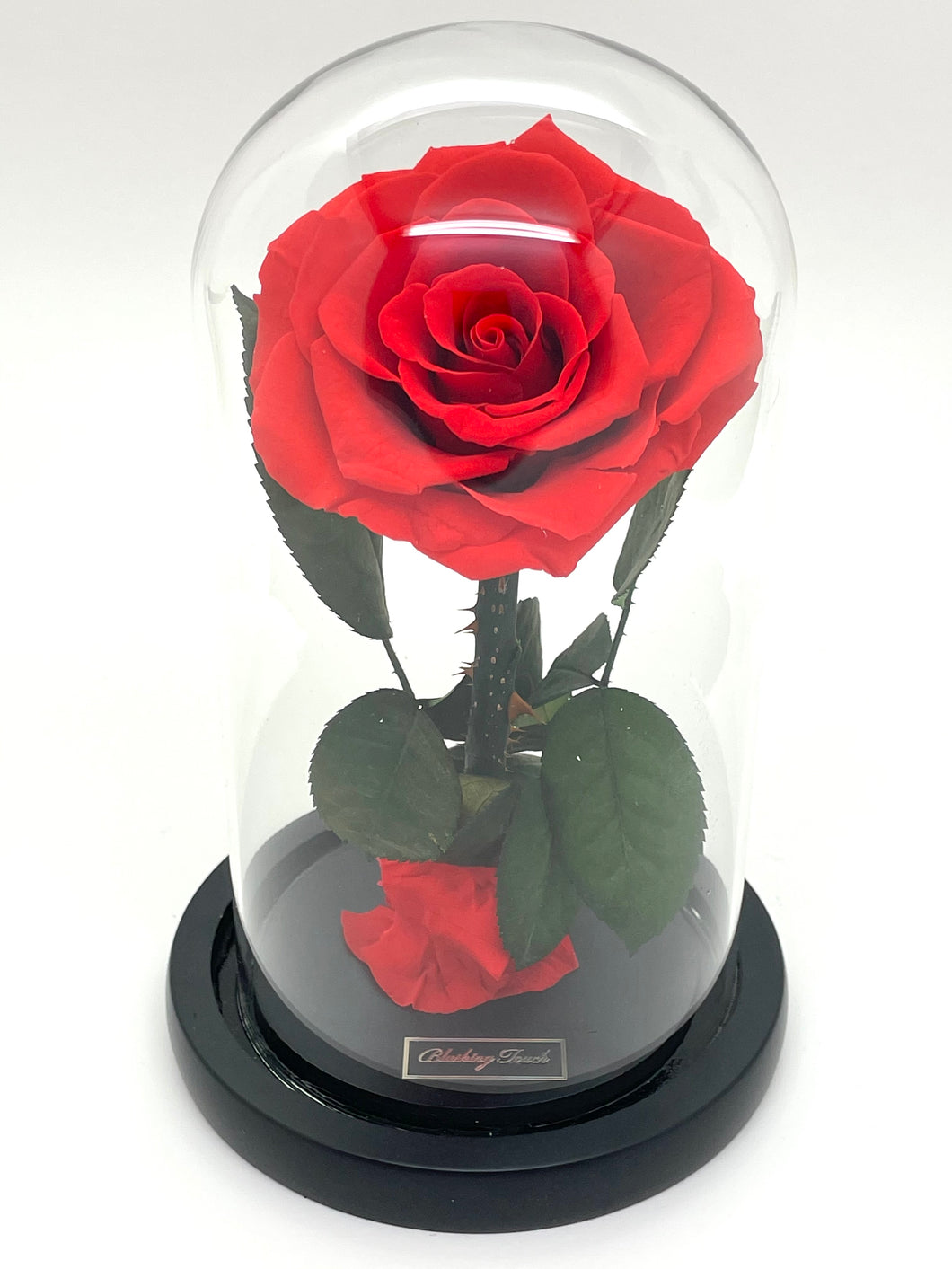 1 Rose Glass Dome