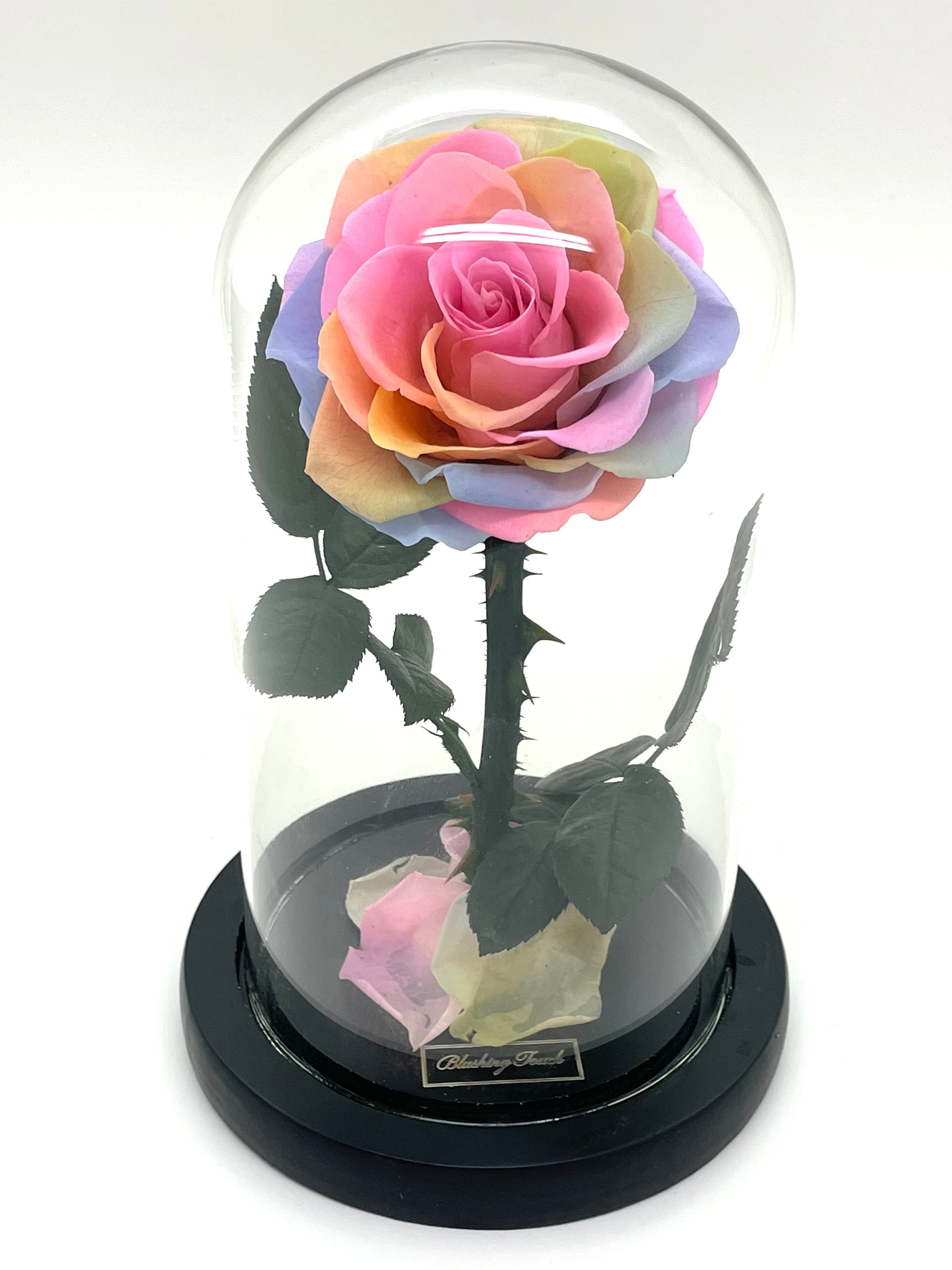 1 Dome – Blushing Rose Touch Glass